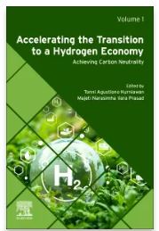 Achieving Carbon Neutrality Through the Hydrogen Economy