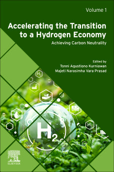 Accelerating the Transition to a Hydrogen Economy. Achieving Carbon Neutrality