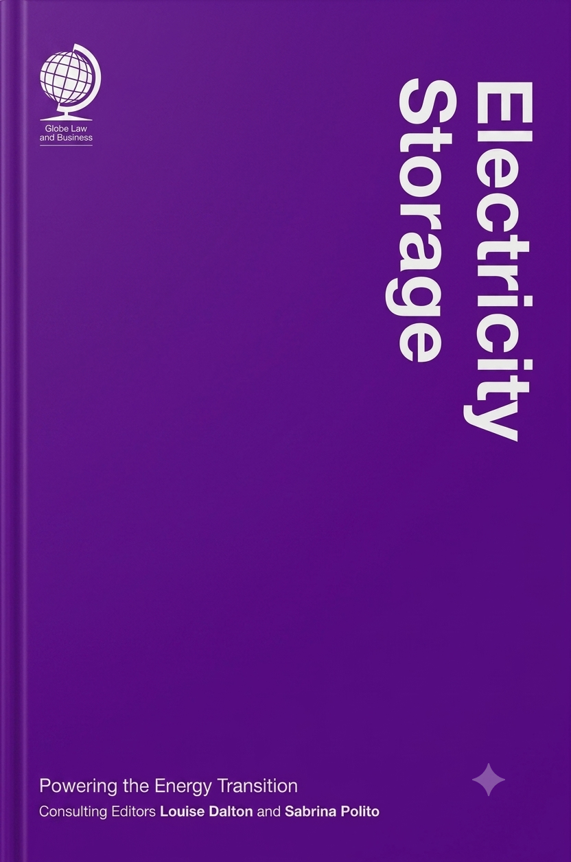 Electricity Storage: Powering the Energy Transition cover
